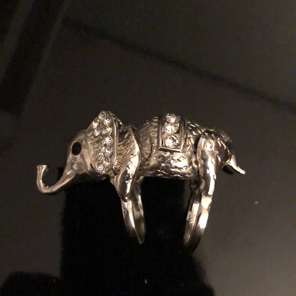 Gorgeous elephant ring